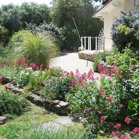 Les Florides Apartman L'Isle-sur-la-Sorgue Kültér fotó