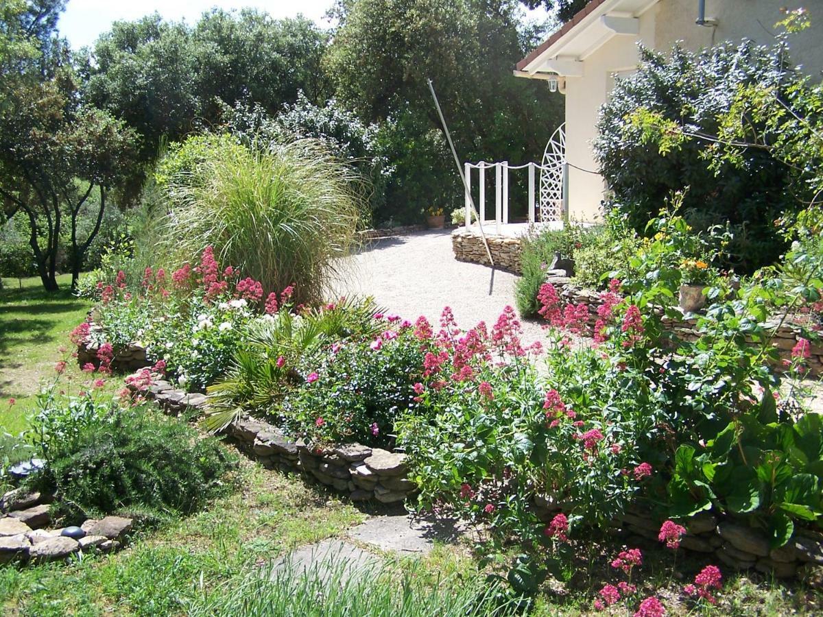 Les Florides Apartman L'Isle-sur-la-Sorgue Kültér fotó