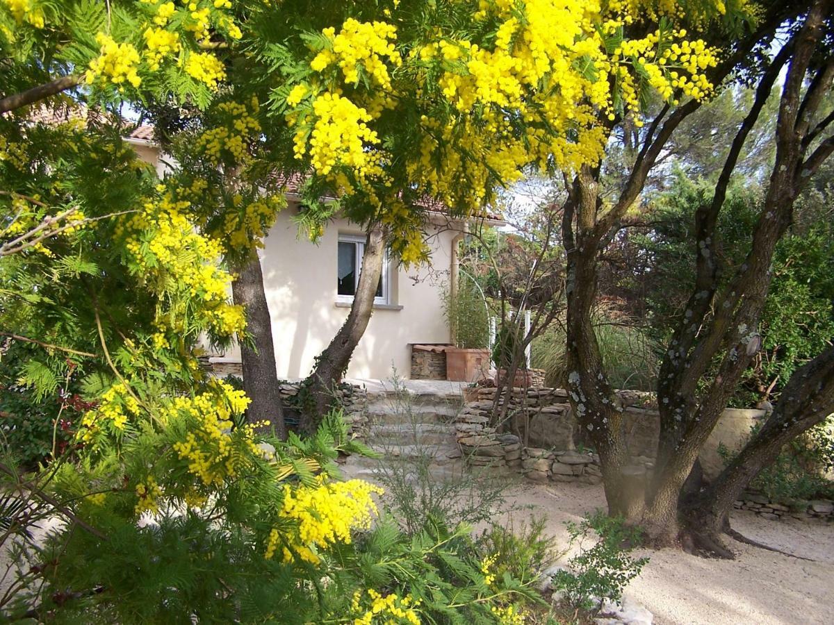 Les Florides Apartman L'Isle-sur-la-Sorgue Kültér fotó