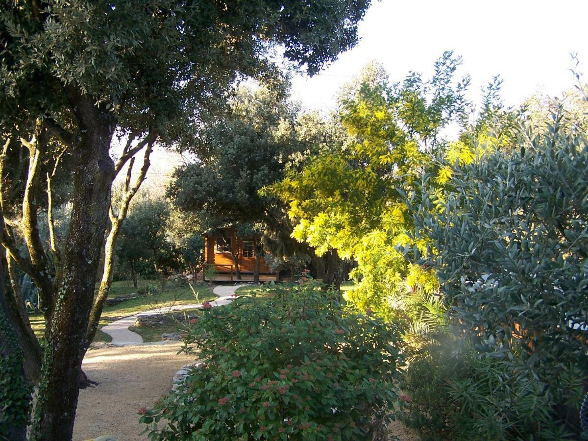 Les Florides Apartman L'Isle-sur-la-Sorgue Kültér fotó